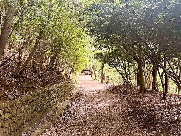 ウォーキングチーム